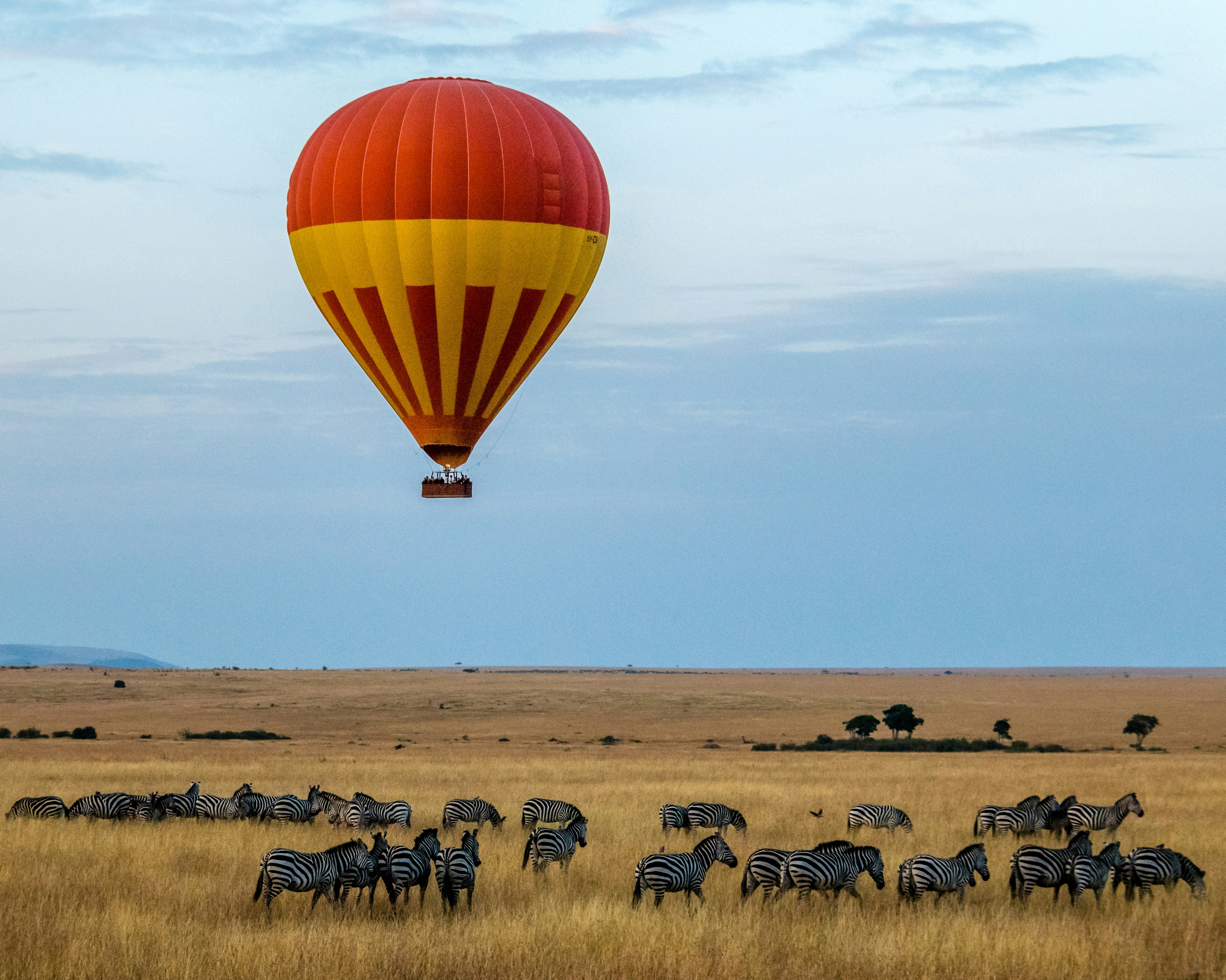 Tanzania Safari